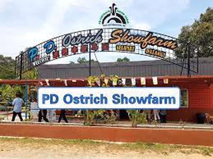 PD Ostrich Show Farm - Main Image