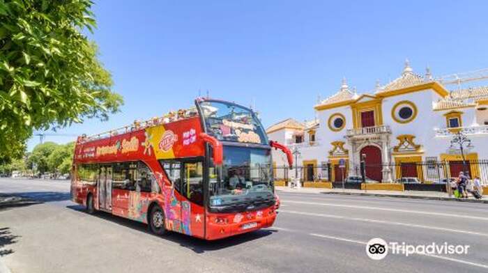 City Sightseeing Seville - Main Image