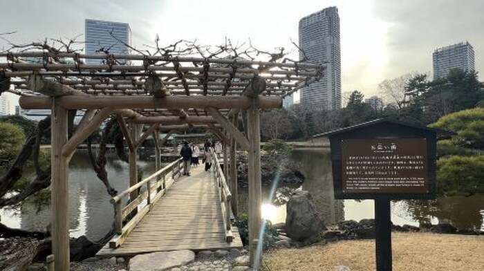 Tokyo: Japanese Garden Walking Tour with Tea and Sweets - Main Image