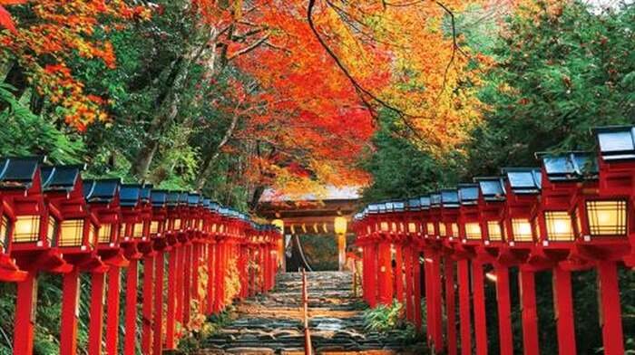 Small group of 9: Kyoto 1-day tour to Kifune shrine, Arashiyama and Sanzen-in Day Tours - Main Image