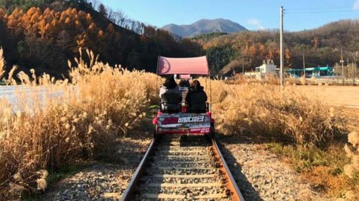 Gyeonggi Province|Gangchon Rail Park X Petite France & Italian Village X Nami Island Day Tours - Main Image
