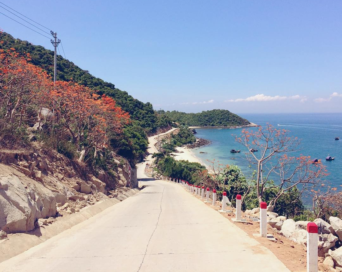 Cham Island Day Tour From Da Nang - Main Image
