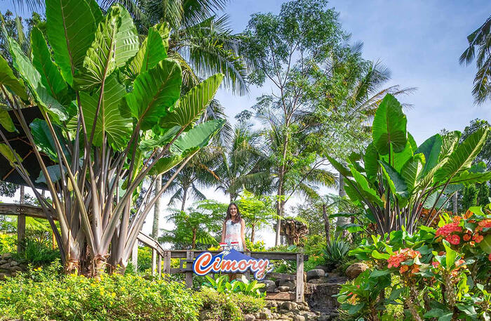 Dairyland on the Valley Bawen - Main Image