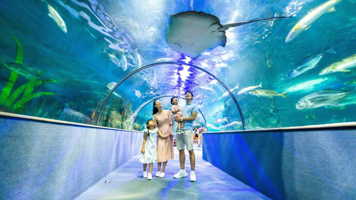 VinKE & Vinpearl Aquarium - Main Image