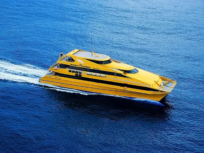 97fb4a2c-06f6-4f49-9afd-2f2fb997e395_alt