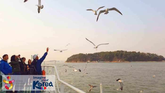 One-day tour / Incheon | Gwangmyeong Cave + Songwol-dong Fairy Tale Village & Chinatown + Wolmido seagull feeding + Yeongjongdo rail bike (departing from Seoul)
