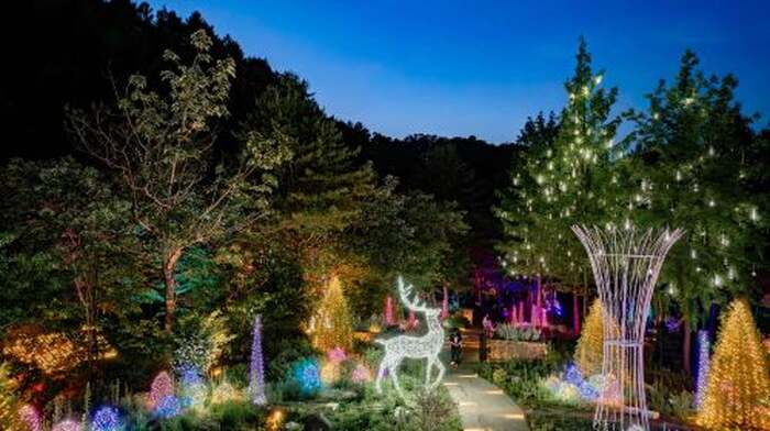 Alpaca World + Gangchon Railbike + Nami Island + Garden Light Festival One Day Tour (Depart from Seoul) Day Tours - Main Image