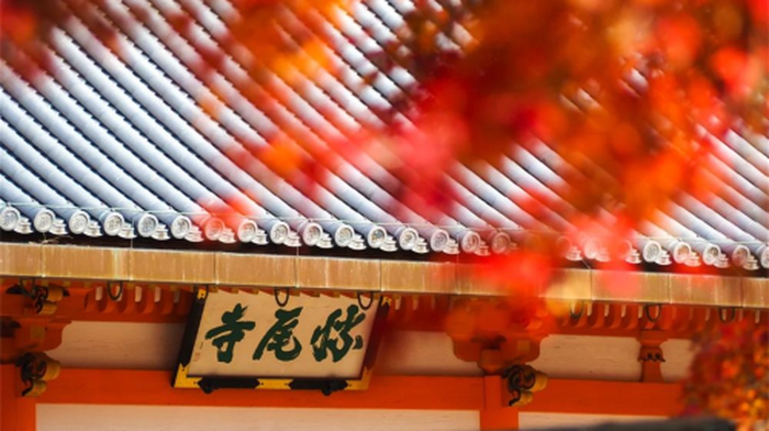 Osaka Katsuo Sacred Site + Otagi Nenbutsu-ji Temple + Kyoto Arashiyama Day Tour, Spirited Away Inspired Day Tours - Main Image