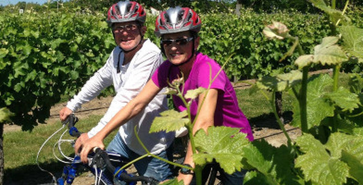Full Day Deluxe Guided Biking Wine Tour - Main Image