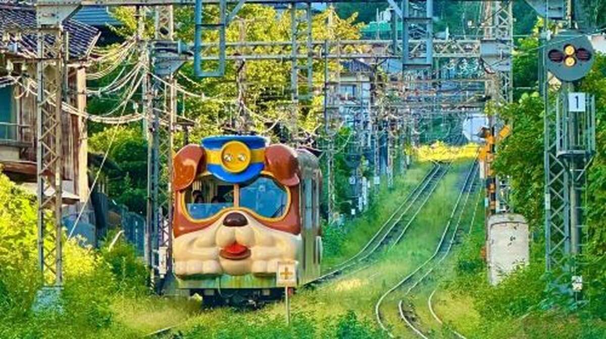 Osaka Mount Ikoma Sky Bike + Nara in-depth fun one-day tour - Main Image