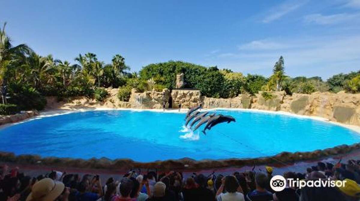Loro Parque - Main Image