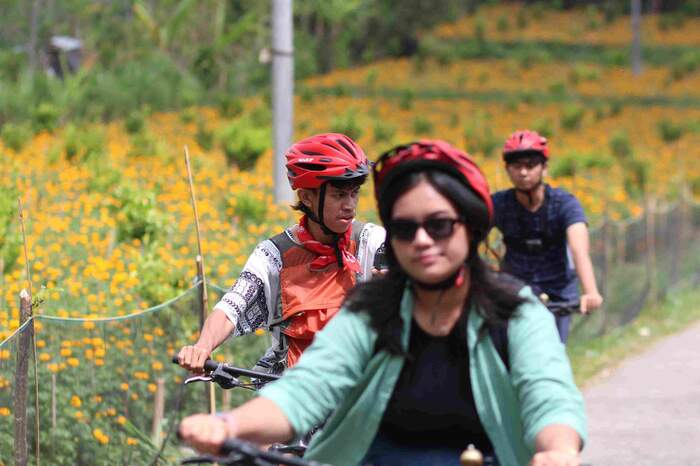 bdad5904-ab87-438f-a24e-d0a26c1ba69d_alt