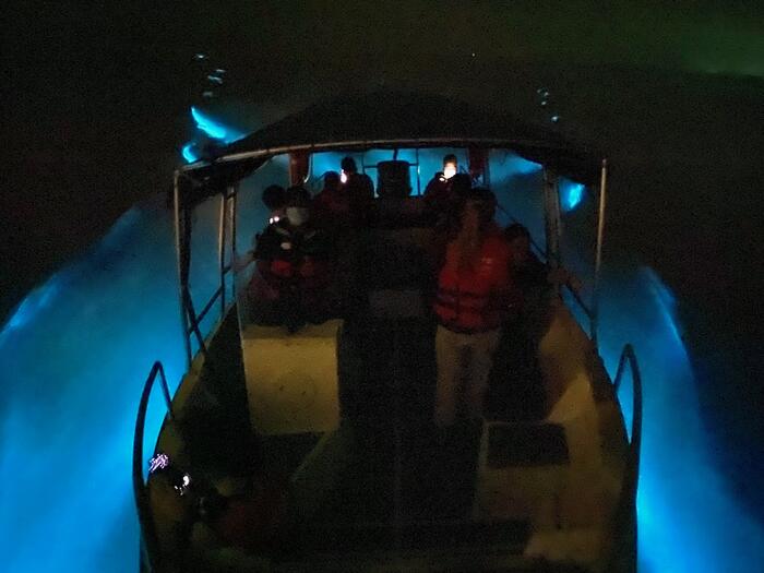 Blue Tears Experience in Kuala Selangor - Main Image