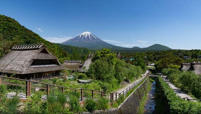 One-Day Tour of Mount Fuji West Lake Healing Reagan Field - Main Image