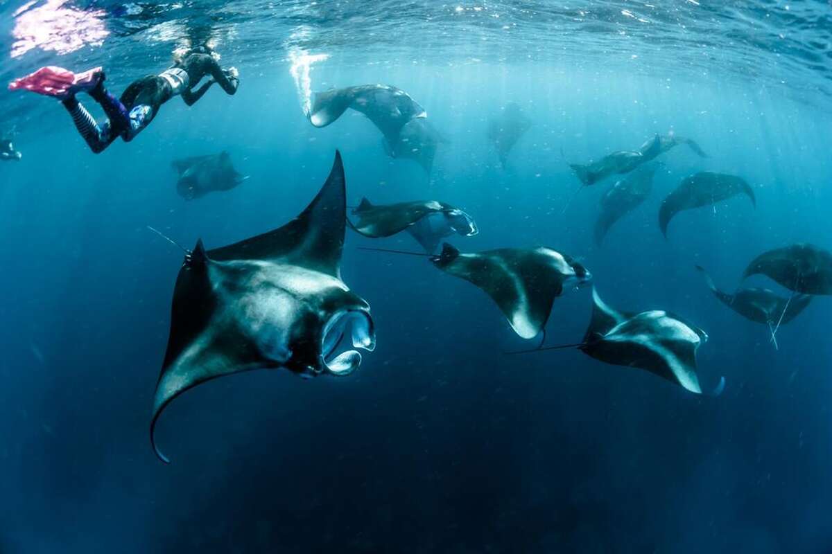 Private Trip Derawan 4 Days 3 Nights – via Tanjung Batu - Main Image