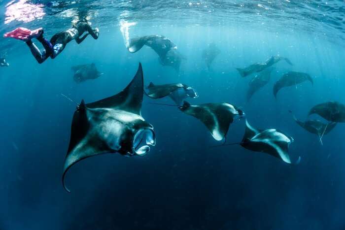 Private Trip Derawan 4 Days 3 Nights – via Tanjung Batu - Main Image