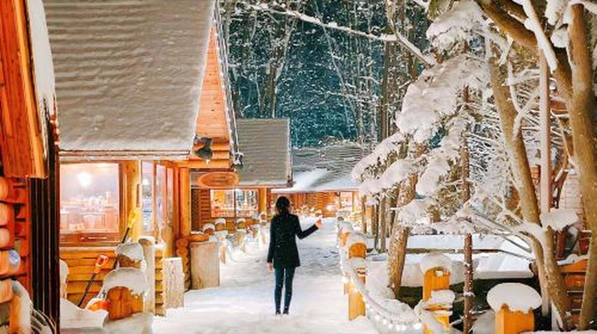 1-day tour to Hokkaido Forest Elf Terrace + Asahiyama Zoo + Shirahige Waterfall + Shirogane Blue Pond (Aoiike) Day Tours - Main Image