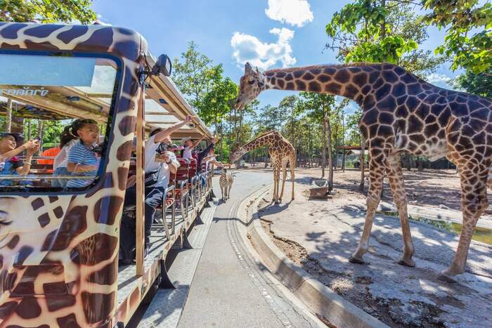 Chiang Mai Night Safari with Share Transfer - Main Image