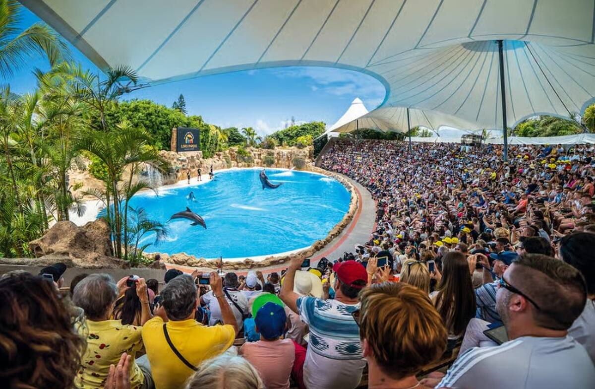 Tenerife: Loro Parque Entry Ticket - Main Image