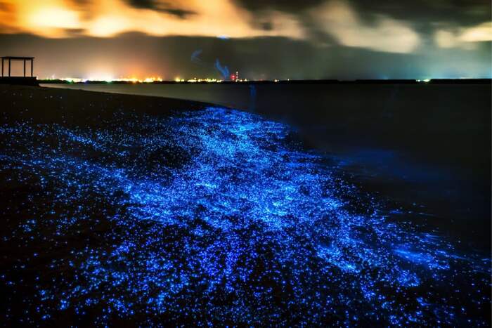 Bioluminescence & Sea Canoes in Phang Nga Bay by Speedboat incl. Transfer (included roundtrip transfer in Phuket Island) - Main Image