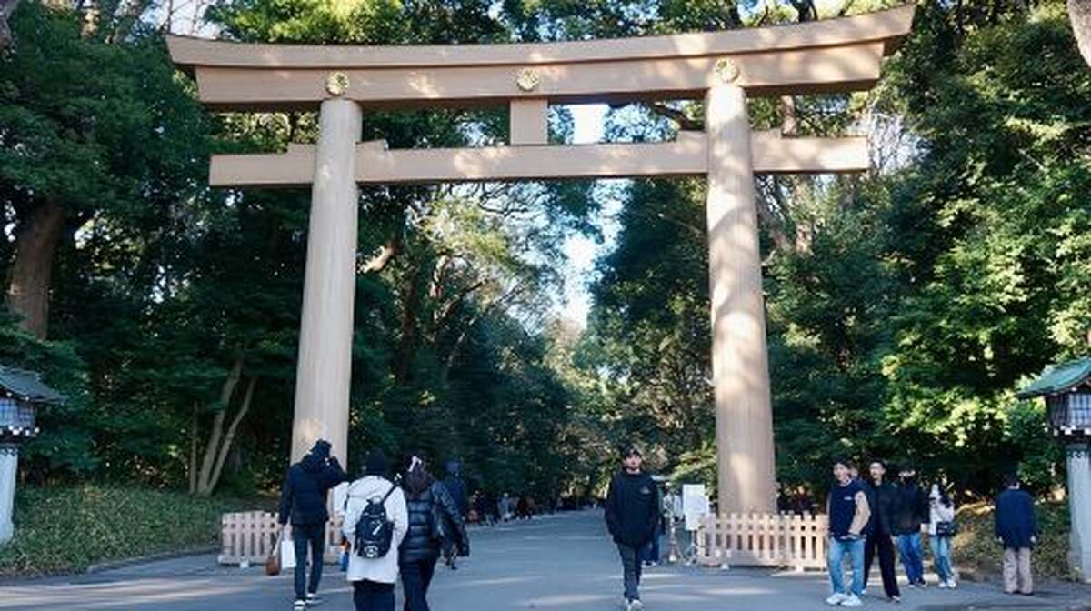 Tokyo Harajuku Tour: From Meiji Park to Takeshita St to Shibuya Crossing Day Tours - Main Image