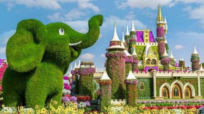 Dubai Miracle Garden tour & Marina Dhow Dinner Cruise with Private Roundtrip Transfer Day Tours - Main Image