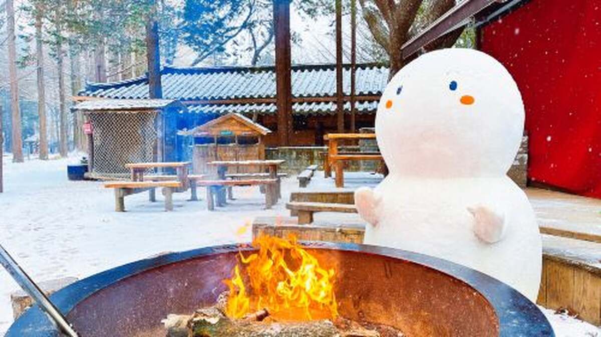 Chuncheon route - foreigner tourist taxi | 3-hour private charter Day Tours - Main Image