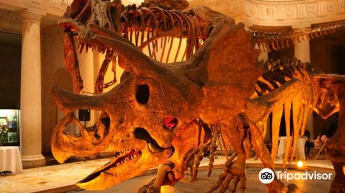 Natural History Museum of Los Angeles County - Main Image