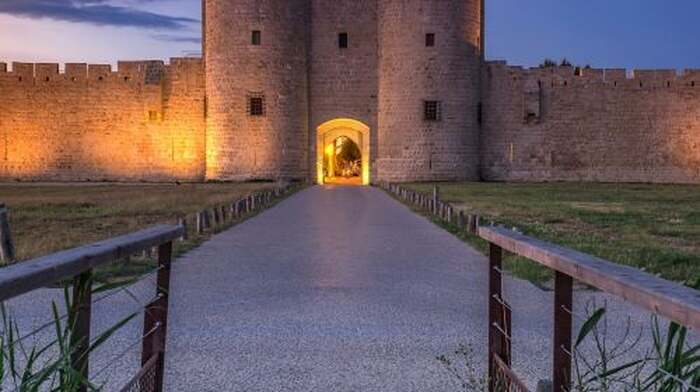 Tours et Remparts d'Aigues-Mortes: Entry Ticket Adult - Main Image
