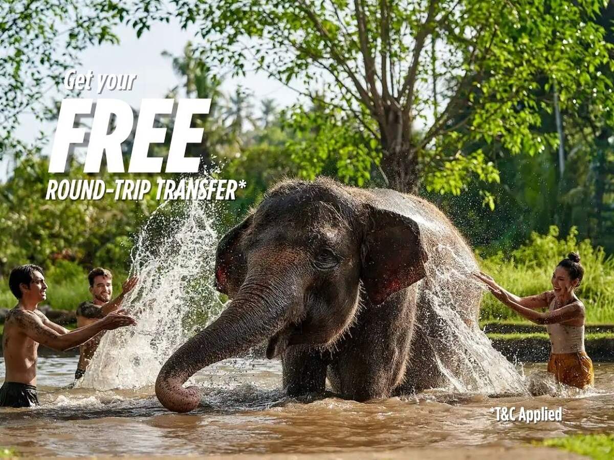 c970bd69-a4b9-43c6-9ff1-7a129986ab60_alt