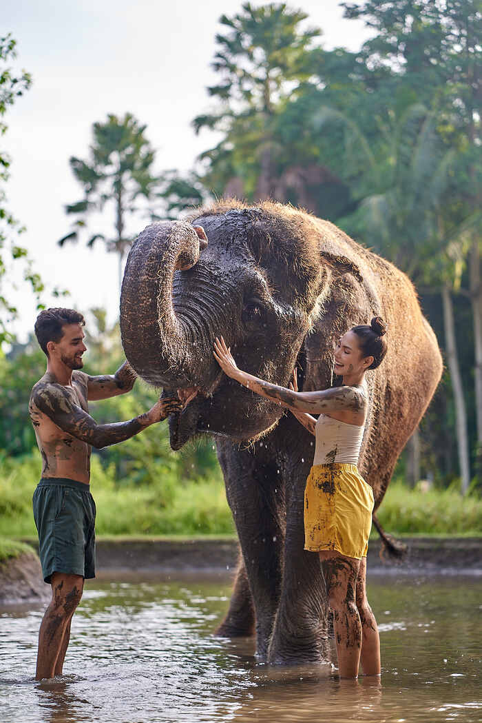 0e3b0f76-09ed-4fff-8c16-ef1283b88230_alt