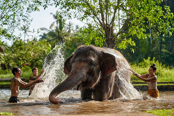 6c5d5e6b-4045-447f-90ff-ef4b54b827fe_alt