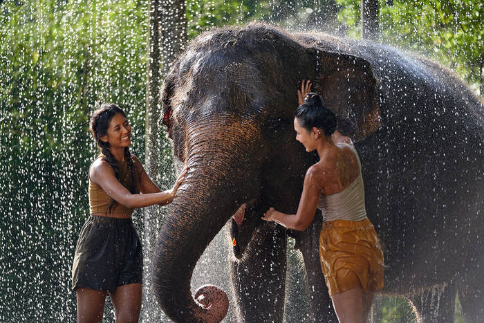 bbfda205-4c57-41dc-b612-f9c55d68e8af_alt