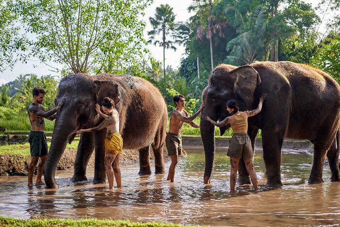 f161ff61-94a5-44bc-b775-3687e9c4fa79_alt