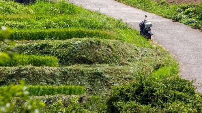 Rental Motorcycle Tour in Kyoto: Arashiyama & West Temple - Main Image