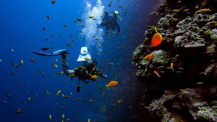 Bali Diving School – Scuba Diving