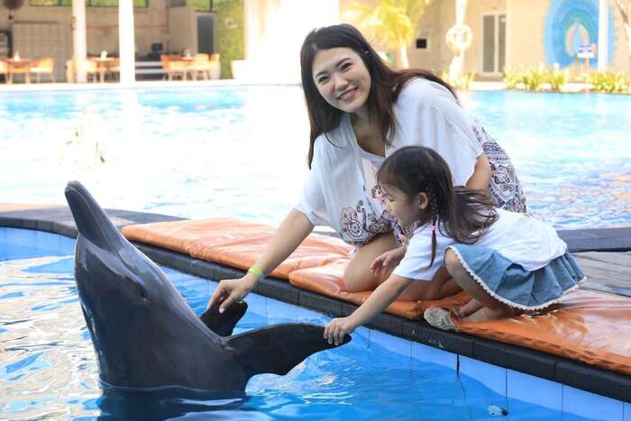 40d5dcb5-89c5-4d71-9c6b-12c73af00113_alt