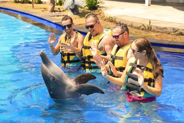 b2f36eaa-3f65-43e4-87ac-36422b9138d9_alt