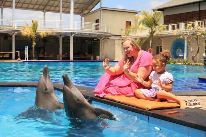 e092cd20-da34-4e32-ba3d-79bac140cec9_alt