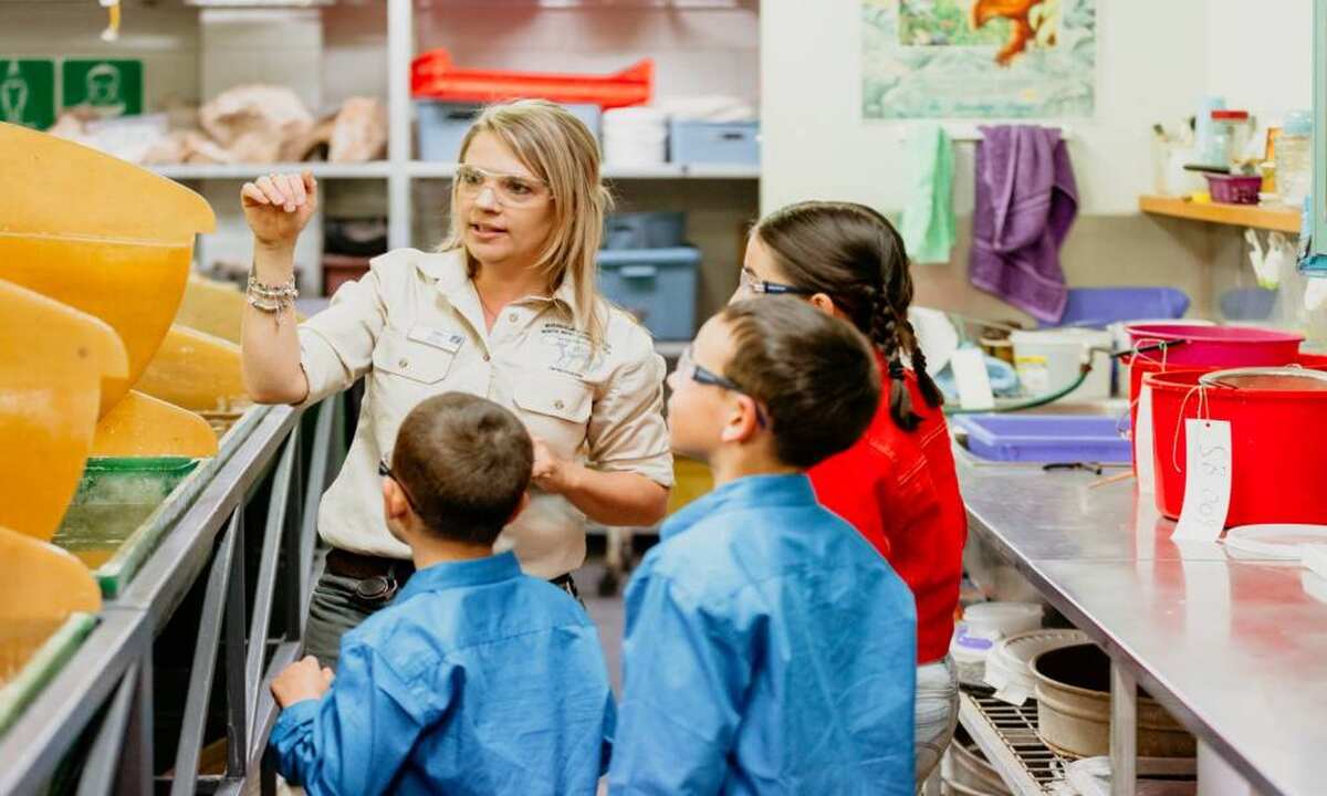 Guided Riversleigh Fossil Discovery Centre & Laboratory - Main Image