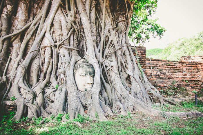 Ayutthaya Grand Pearl River Cruise Tour - Main Image