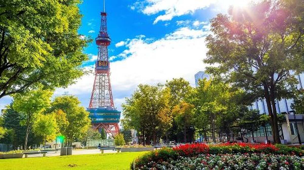 Sapporo 4hr Private Tour with Government Licensed Guide Day Tours - Main Image