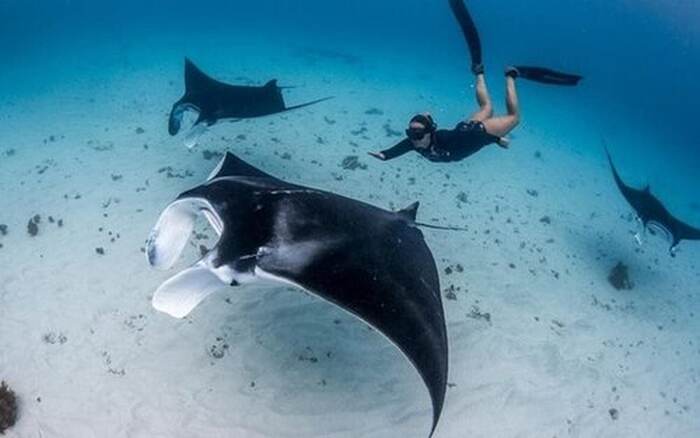 1c7408de-143e-44fe-a932-33c8af1506f1_alt