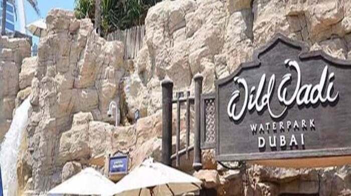 Wild Wadi Water Park Tickets - Main Image