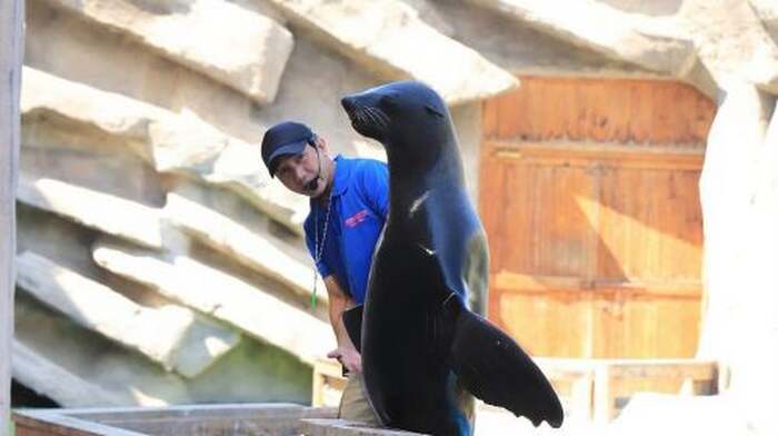 Abu Dhabi: Emirates Park Zoo Entry Ticket Day Tours - Main Image