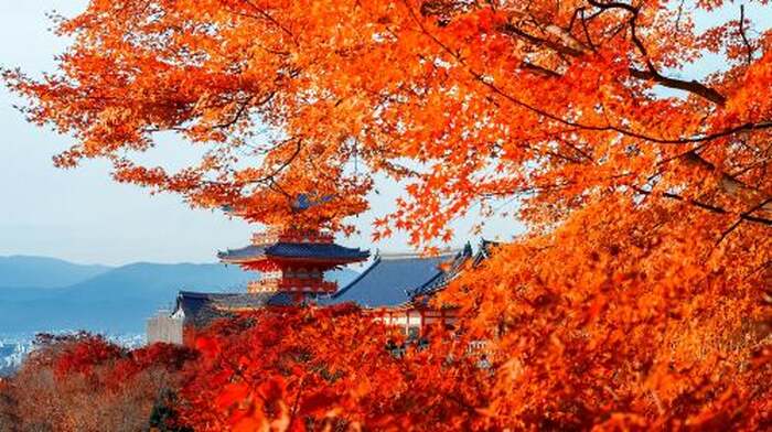 Kyoto & Nara Classic Day Tour with Friendly Deer - Main Image