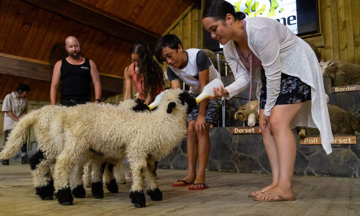 Farm Experience - Main Image
