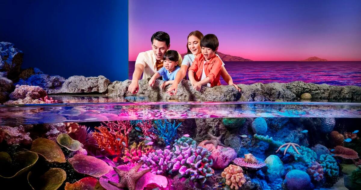 Sealife Bangkok + Madame Tussauds Bangkok Bundle - Main Image