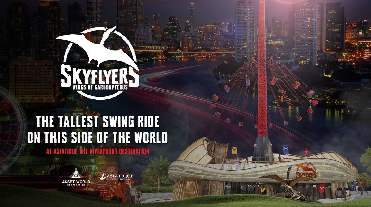 Skyflyers - Main Image