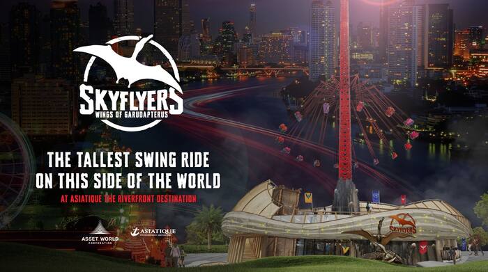 Skyflyers - Main Image